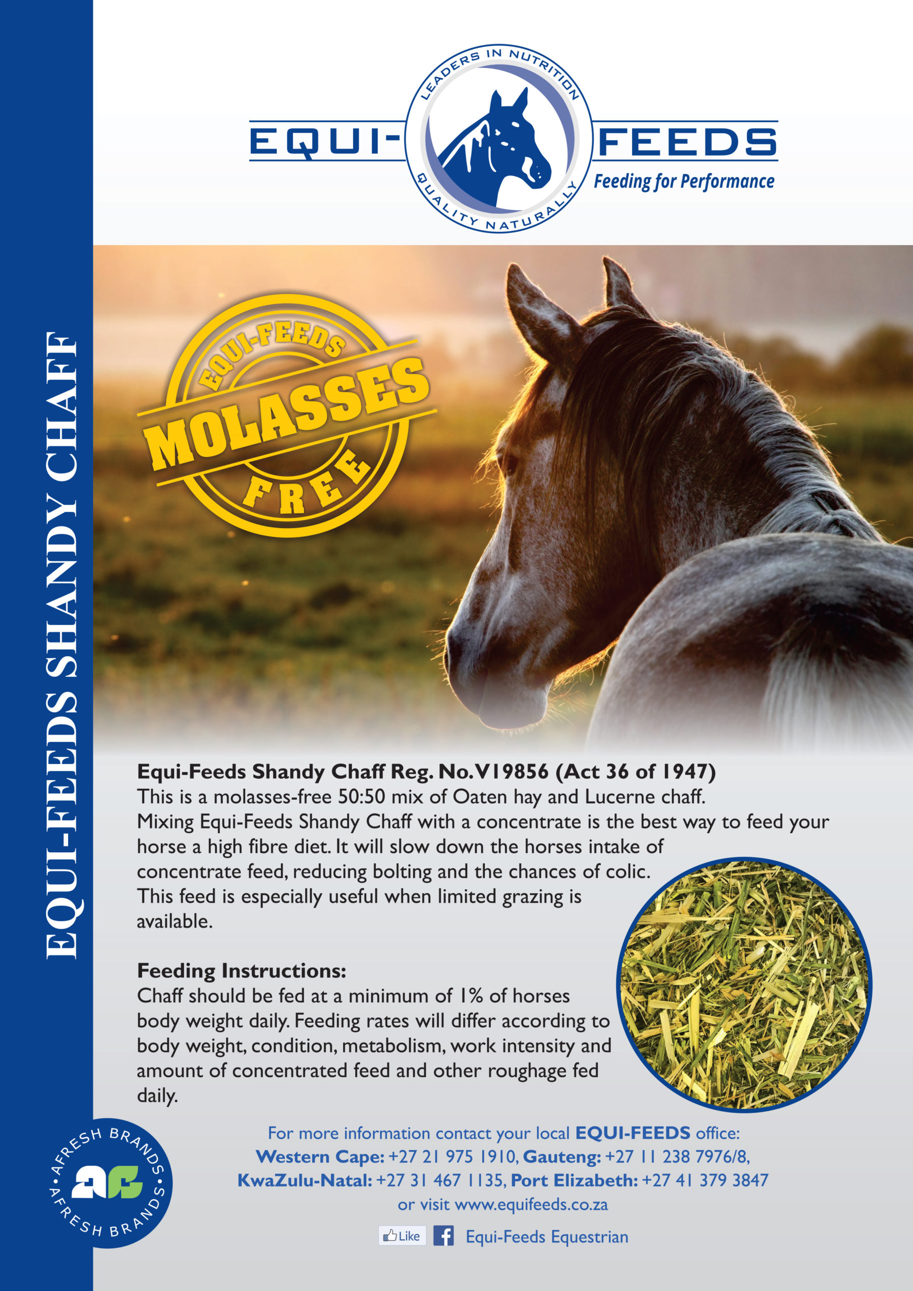 EQUIFEEDS Shandy Chaff 19-09-2019.cdr