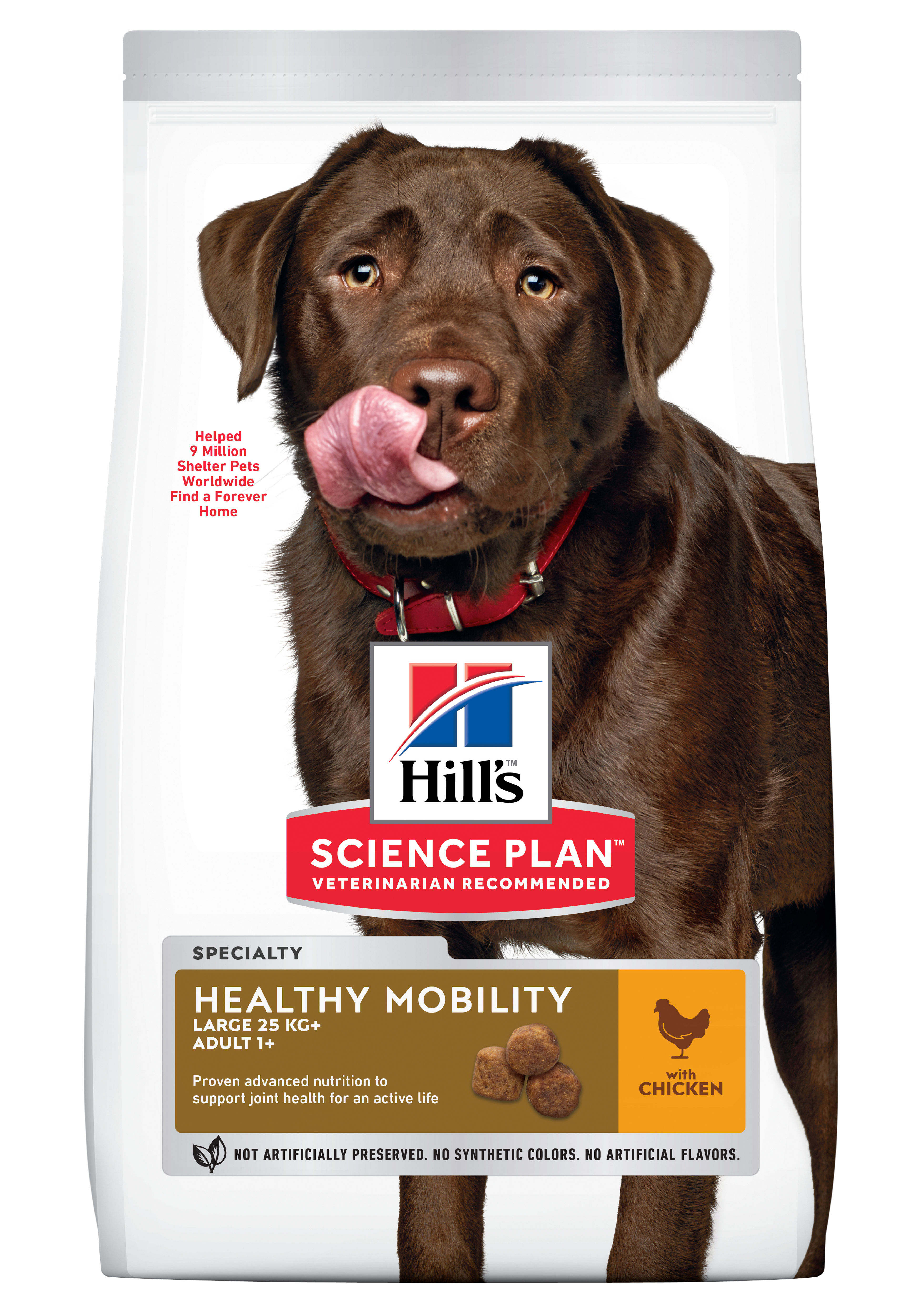Canine-Healthy-Mobility-Large-Breed-604315