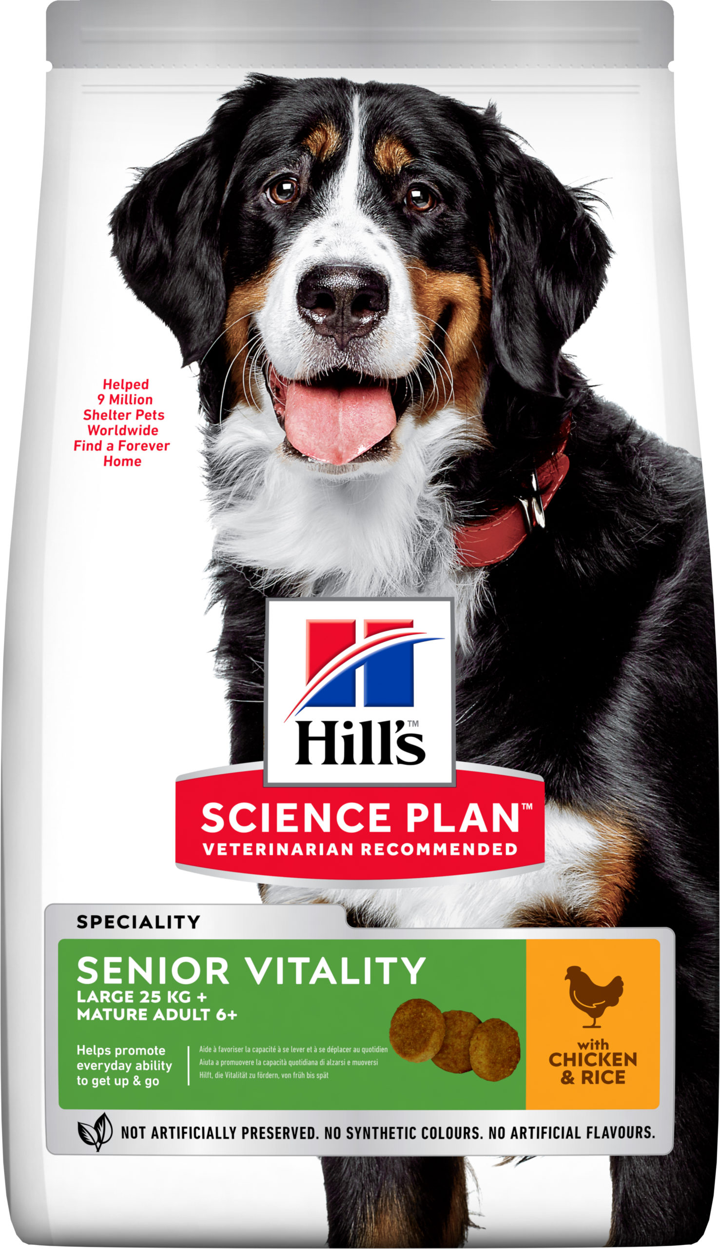 Canine-Large-Breed-Senior-Vitality-605269-1-scaled