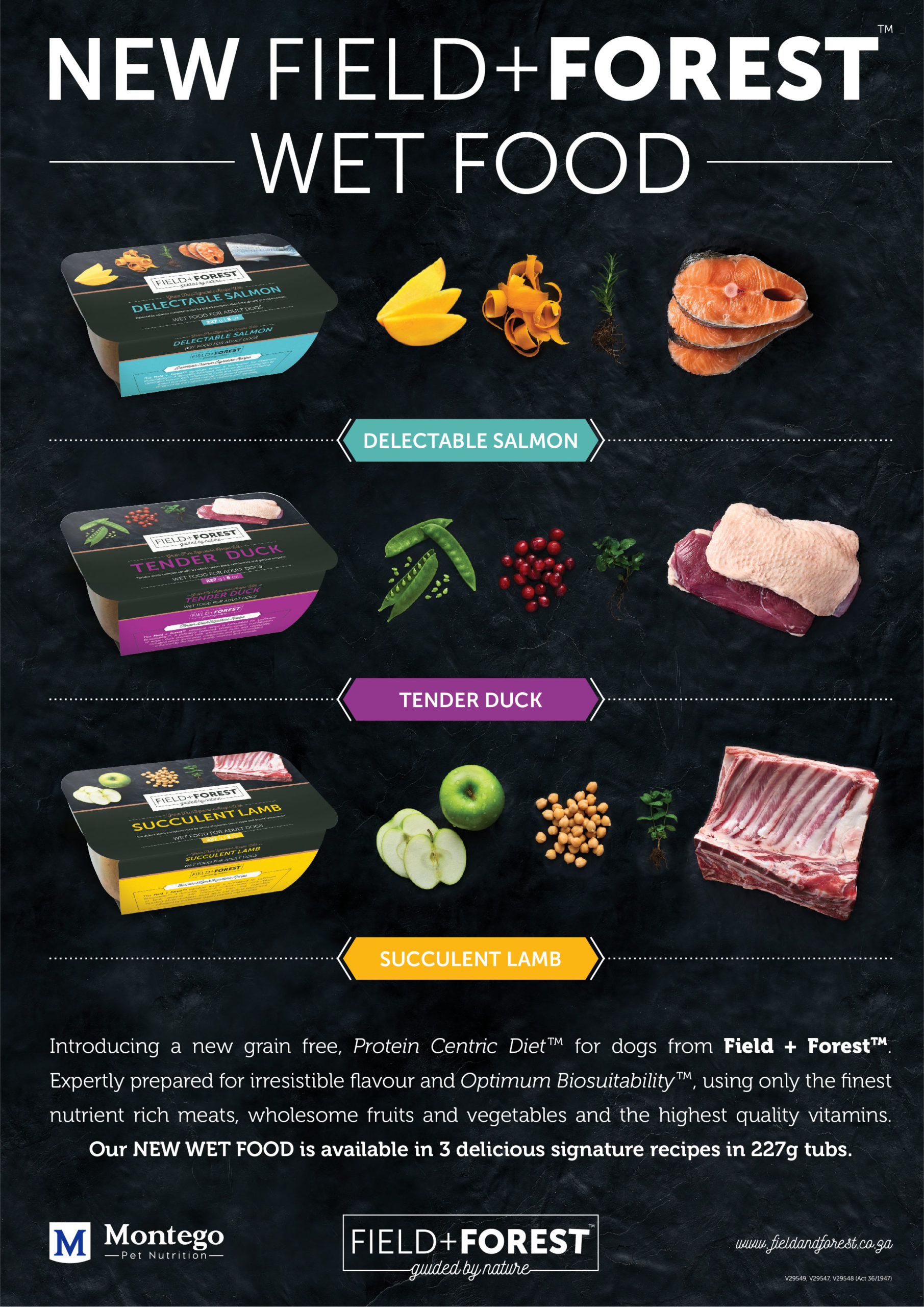 FF-WET-FOOD-A4-POSTER-01-scaled