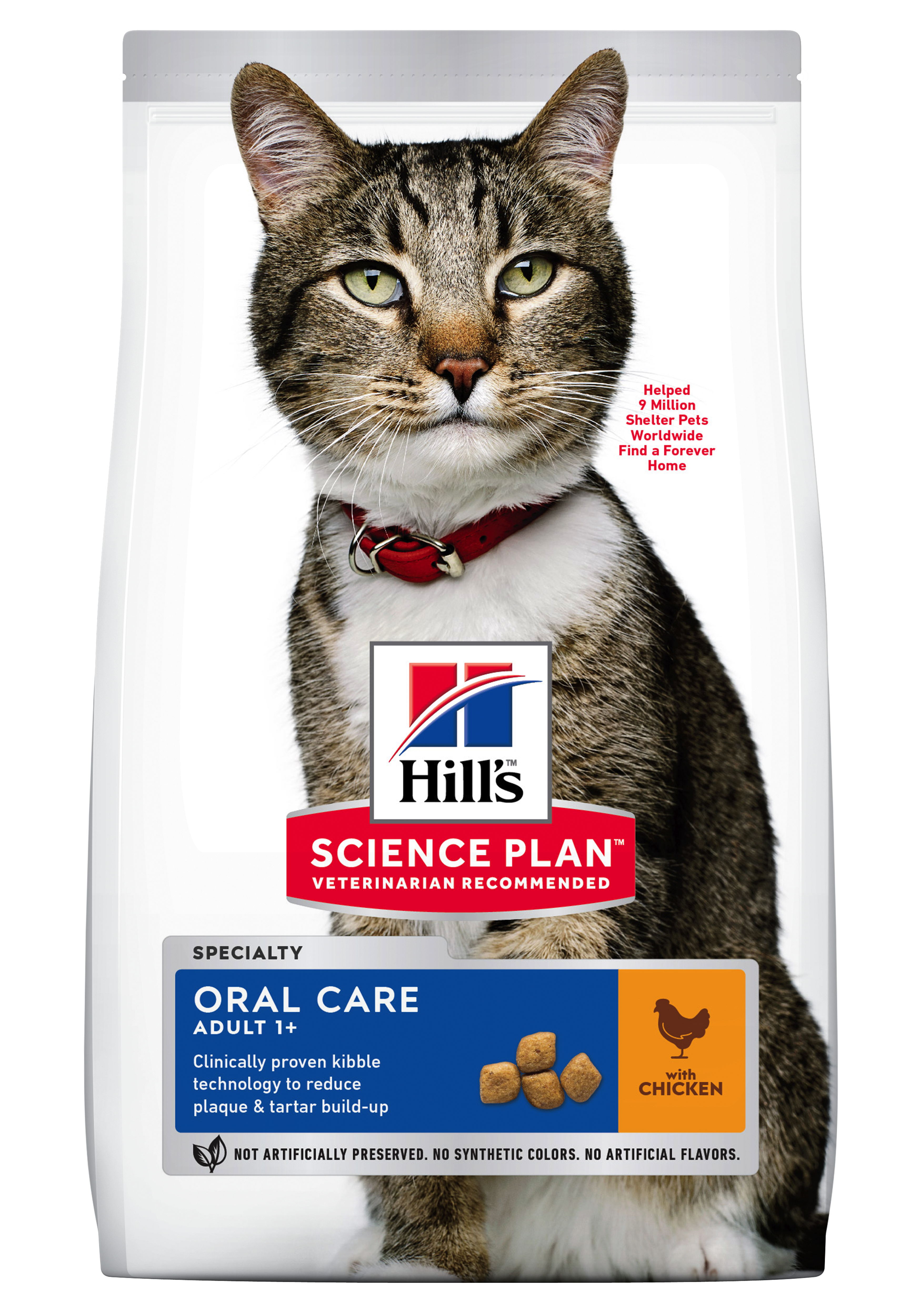 Feline-Oral-Care-604142_604143