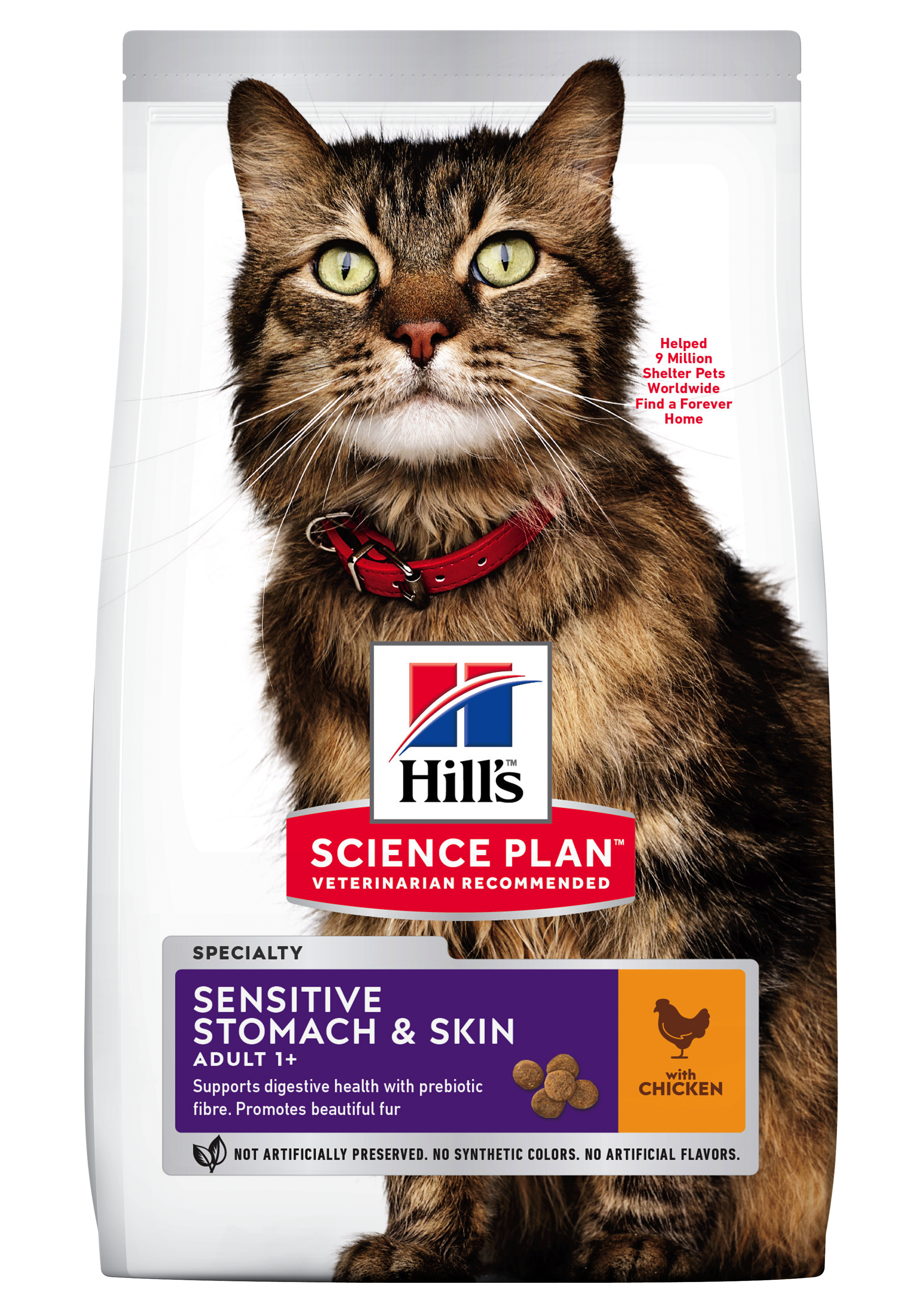 Feline-Sensitive-Stomach-_-Skin-604072_604069