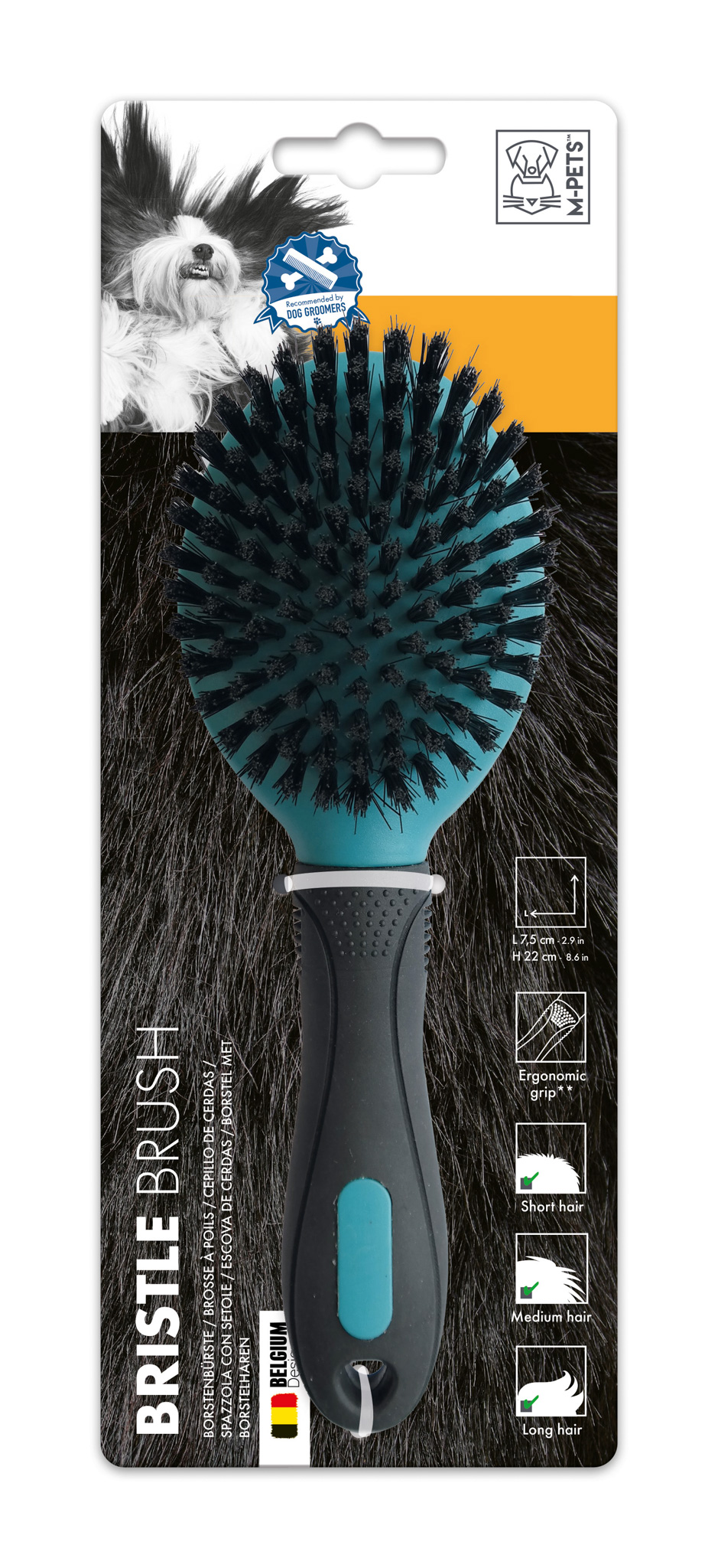 Bristle Brush