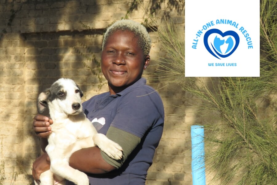 HH Feeds Promotions - Donate - All-in-one Animal Rescue