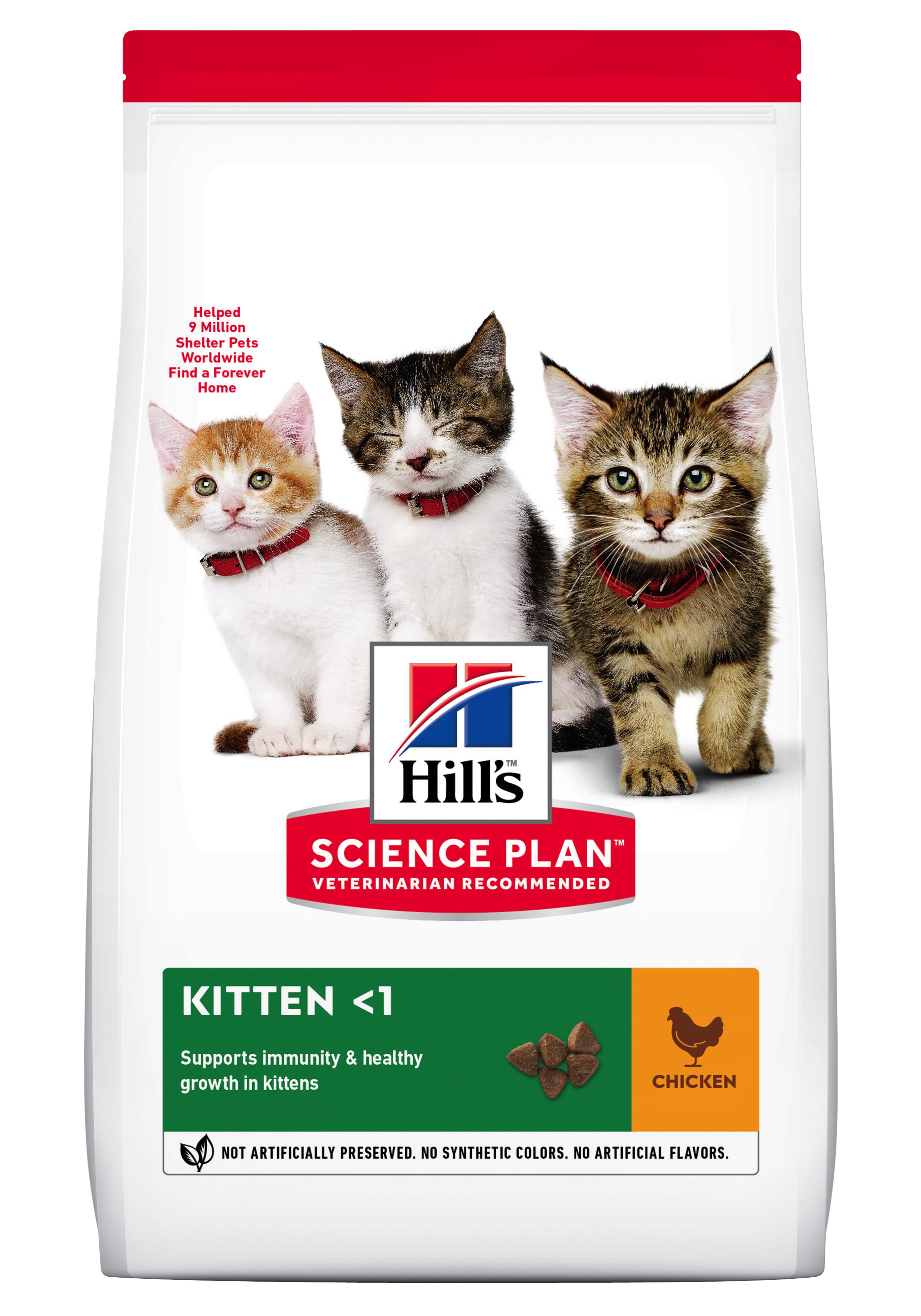 Kitten-Chicken-604045_604048_604049_604050