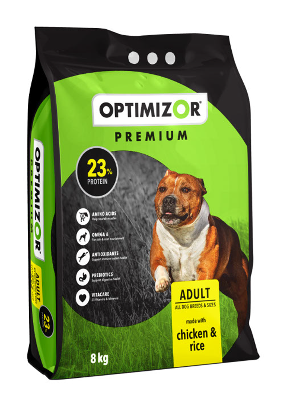 Optimizer_renders-1