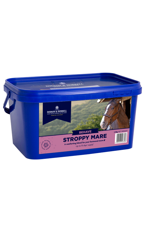 Stroppy-Mare-CGI_19