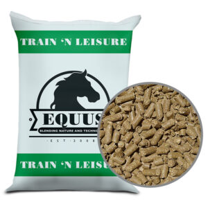 equus train n leisure