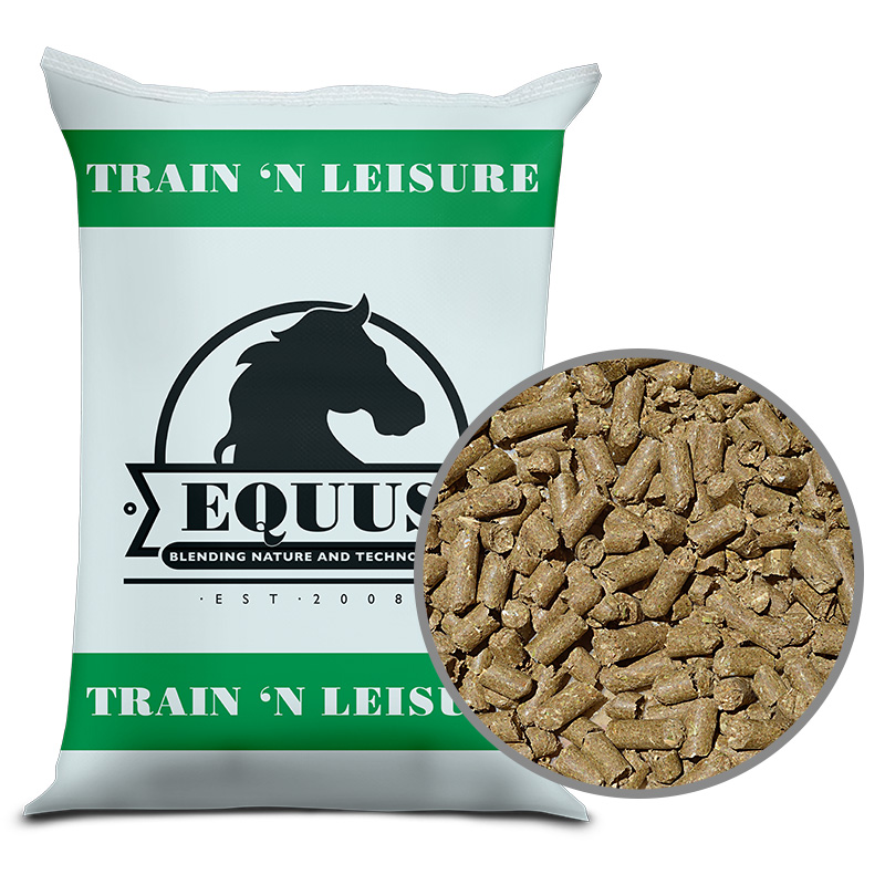 equus train n leisure equus train n leisure