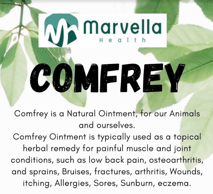 marvella-comfrey