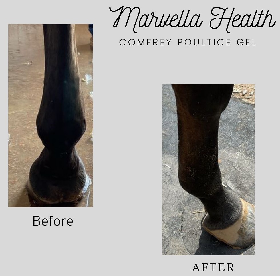 marvella-poultice-2