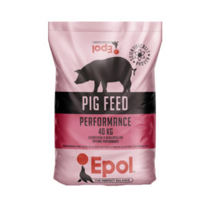 Epol pig growth and sow feed