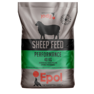 epol sheep