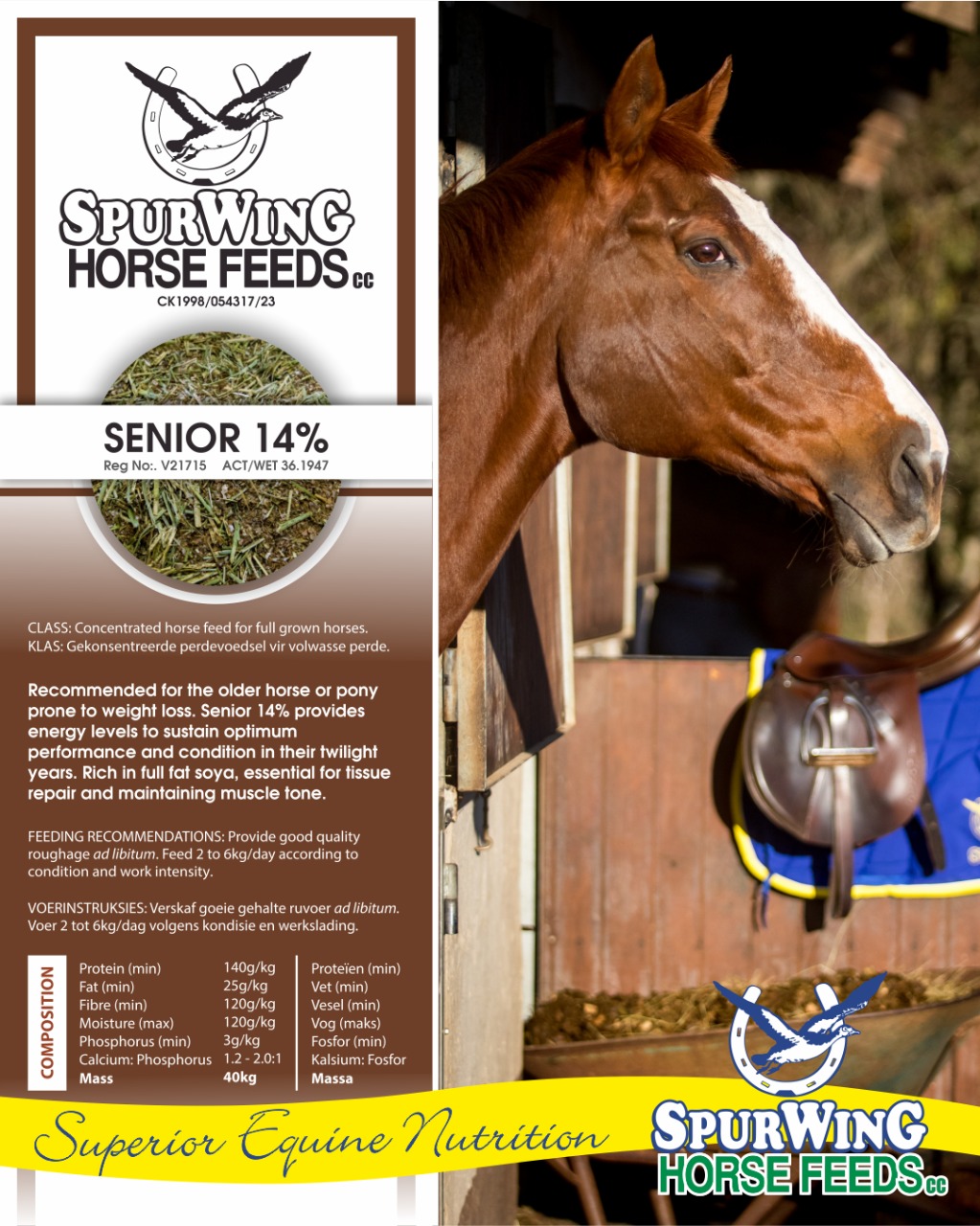 spurwing senior horse spurwing senior horse