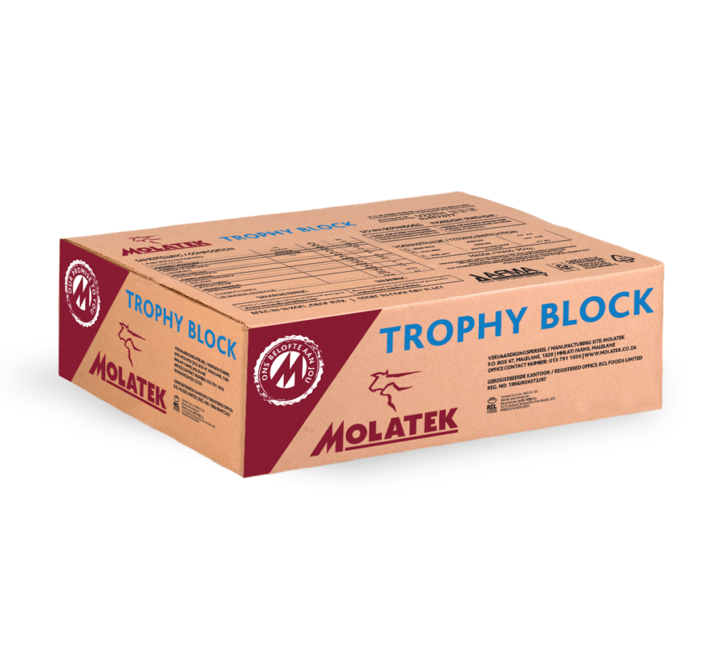 Molatek-Trophy-block Molatek-Trophy-block