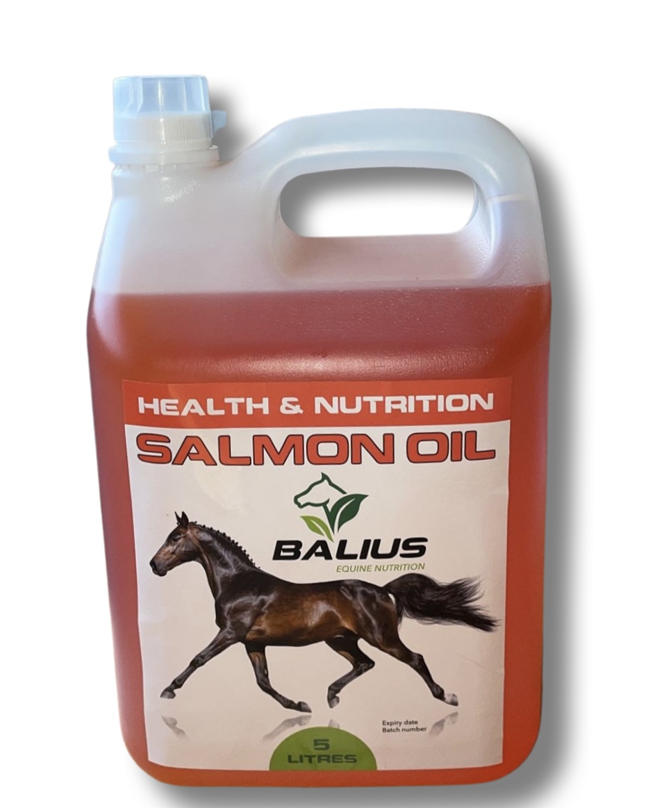 Salmon oil