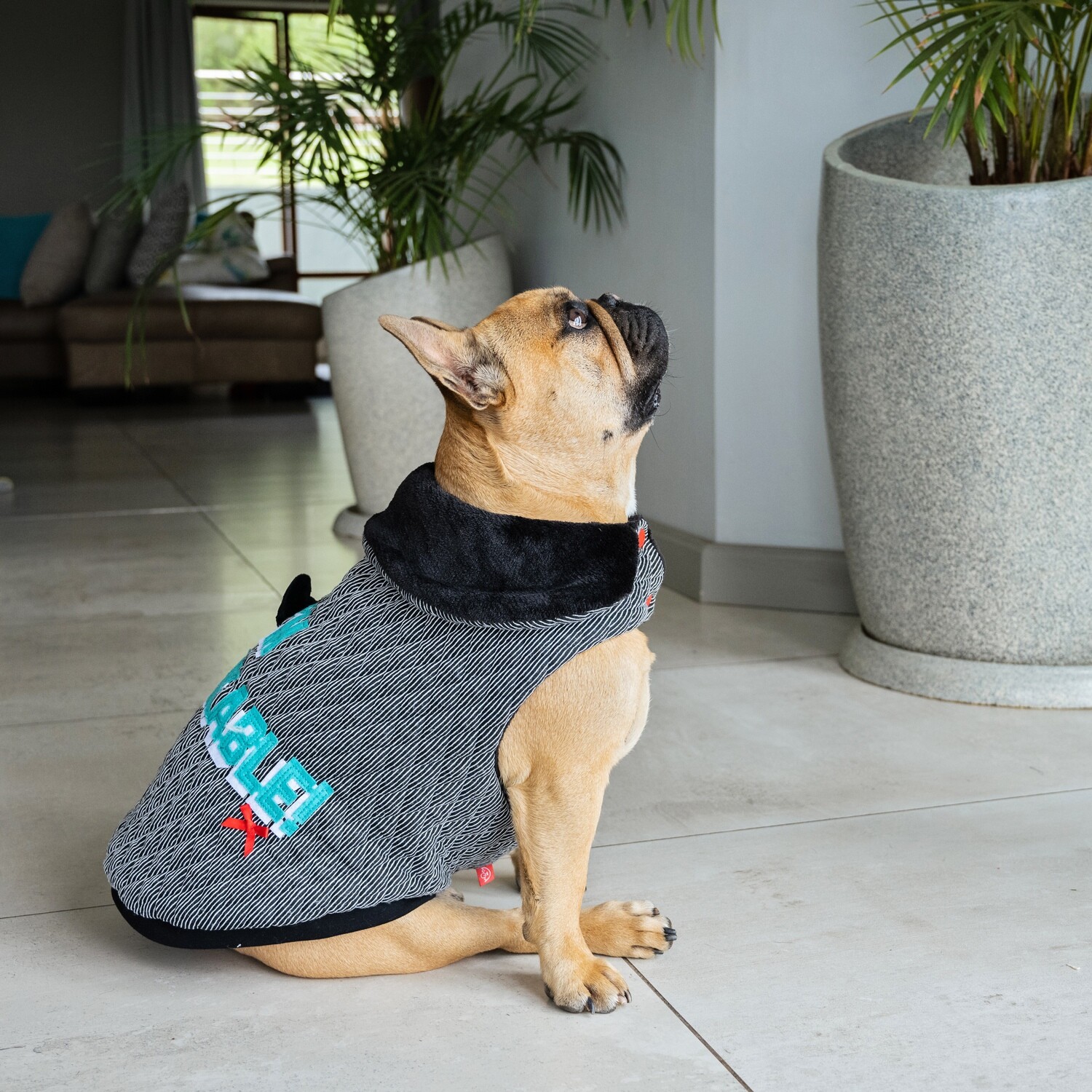 Dogs Life Im Rebarkable Cape Black on dog