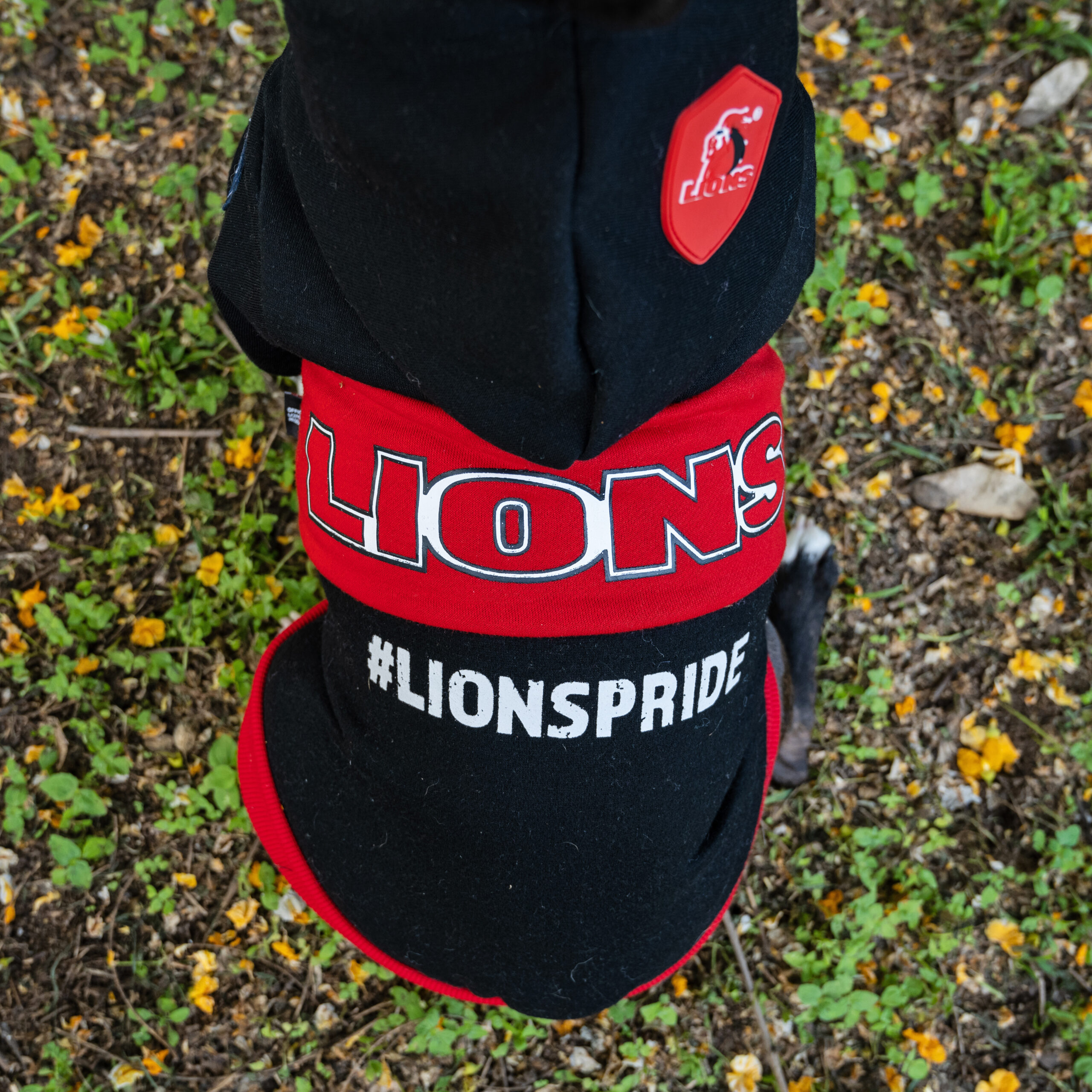 Dog's Life Official Lions Pride Rugby Hoodie top