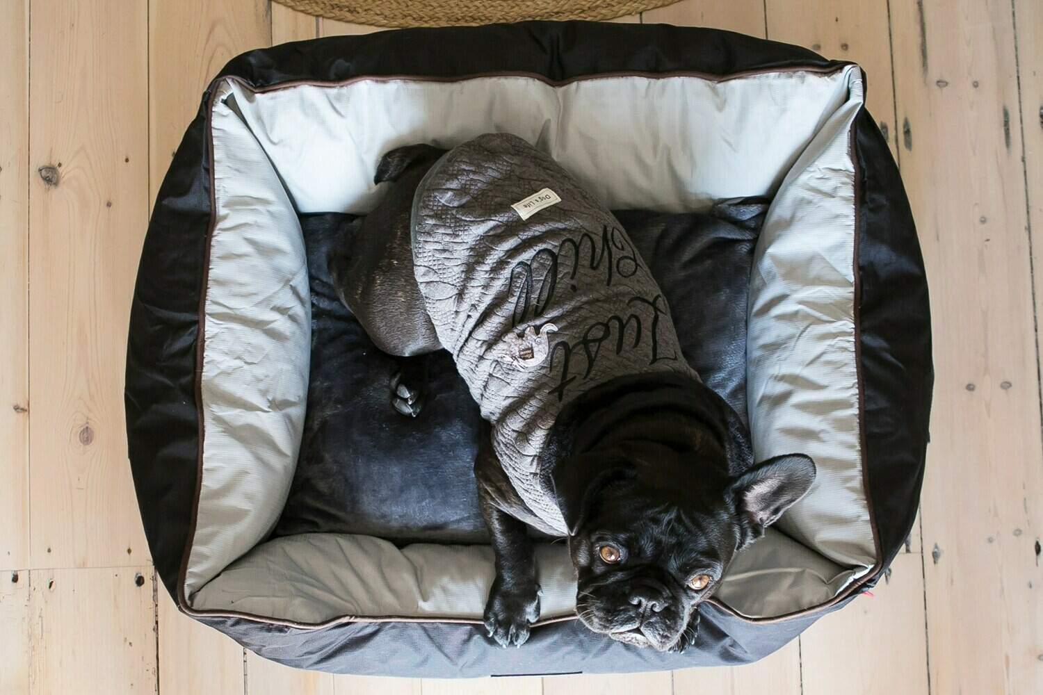 Dog's Life Premium Country Waterproof Bed with dog